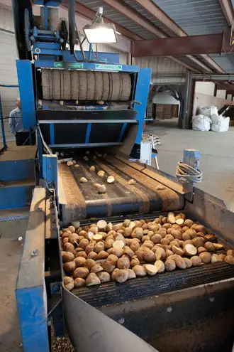 Agro Processing industry — process heating applications