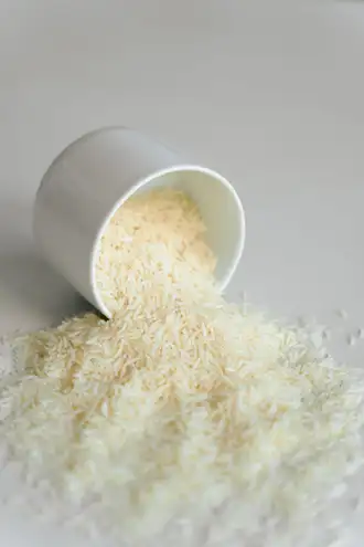Rice Mills industry — process heating applications